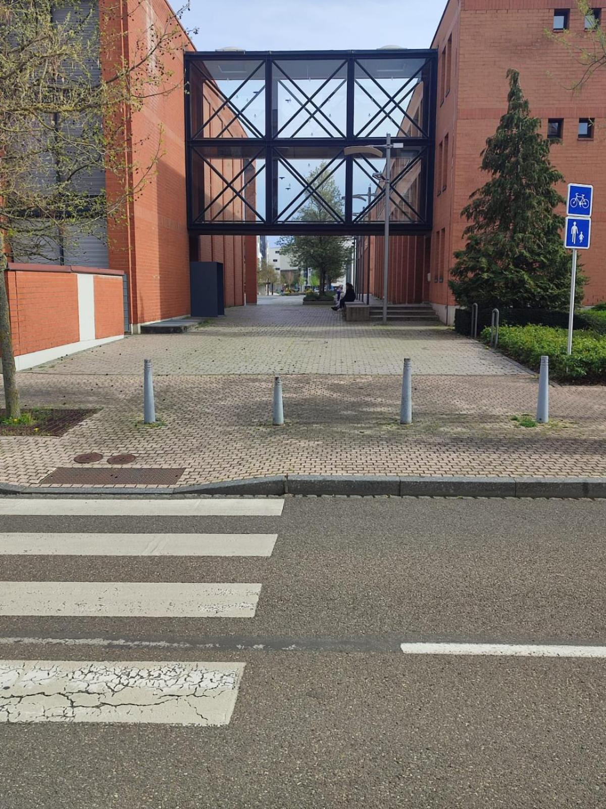 Douillet-Kanamappart-Euroairport Lägenhet Saint-Louis  Exteriör bild